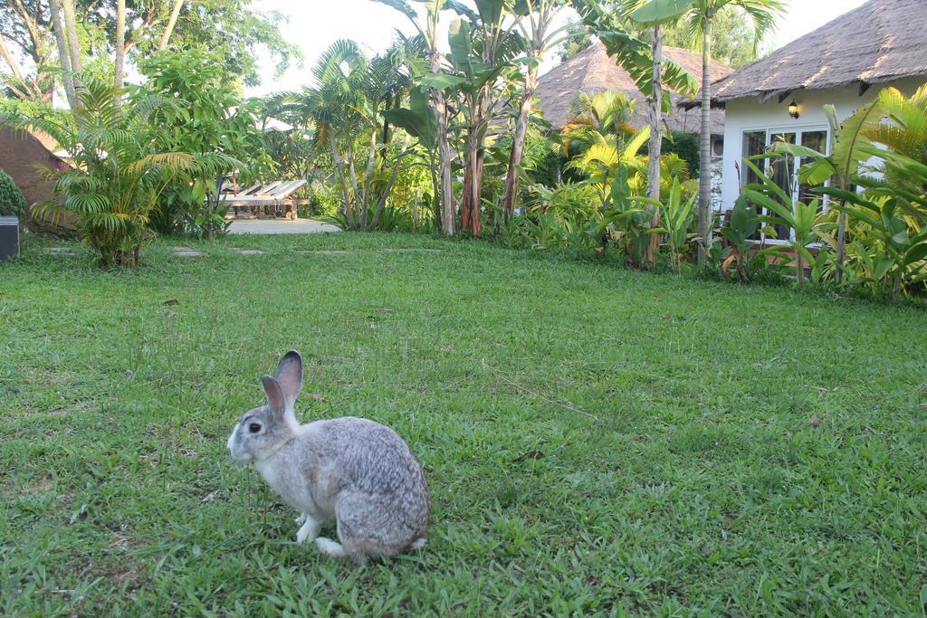 Blue Sea Boutique Hotel สีหนุวิลล์ ภายนอก รูปภาพ