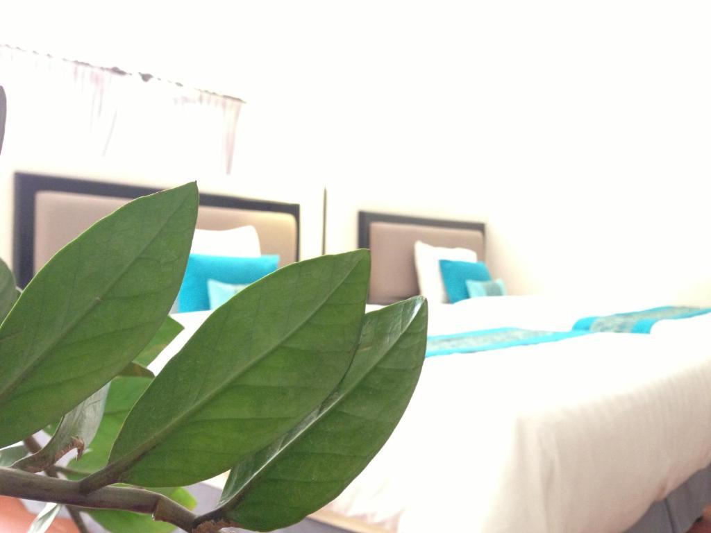 Blue Sea Boutique Hotel สีหนุวิลล์ ห้อง รูปภาพ